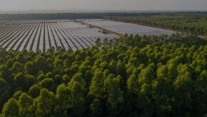 Leia mais sobre o artigo Brasil ultrapassa 55 GW de energia solar e se consolida como 2ª maior fonte da matriz elétrica nacional